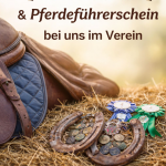 Reitabzeichenprüfung