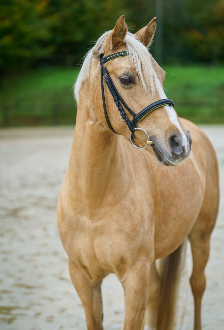 WhatsApp Image 2026-03-30 at 13.22.47