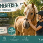 Sommerferien beim Reit- und Fahrverein Reken