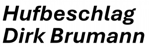 Dirk Brumann