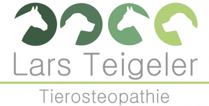 Ostheopathie & Physiotherapie für Pferde